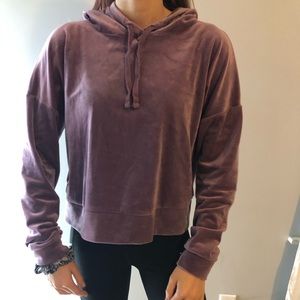 Purple Velvet Cropped Sweatshirt